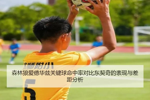 森林狼爱德华兹关键球命中率对比东契奇的表现与差距分析