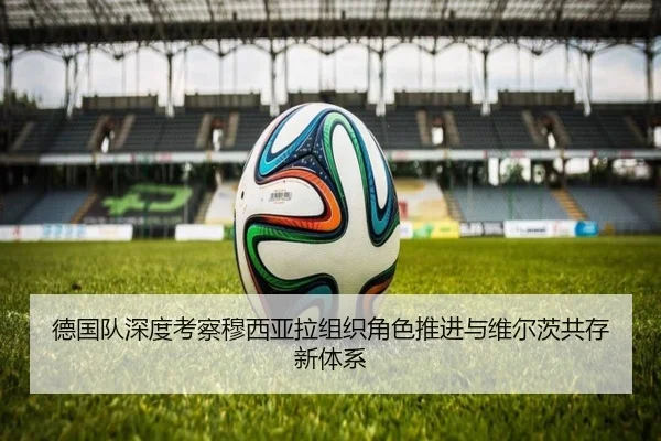 德国队深度考察穆西亚拉组织角色推进与维尔茨共存新体系