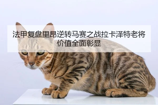法甲复盘里昂逆转马赛之战拉卡泽特老将价值全面彰显
